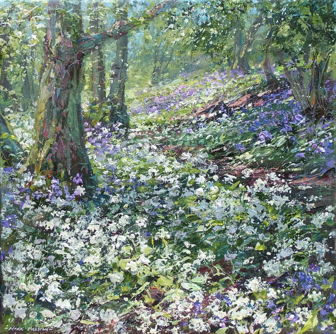 Mark Preston - sunlit ramsons and bluebells