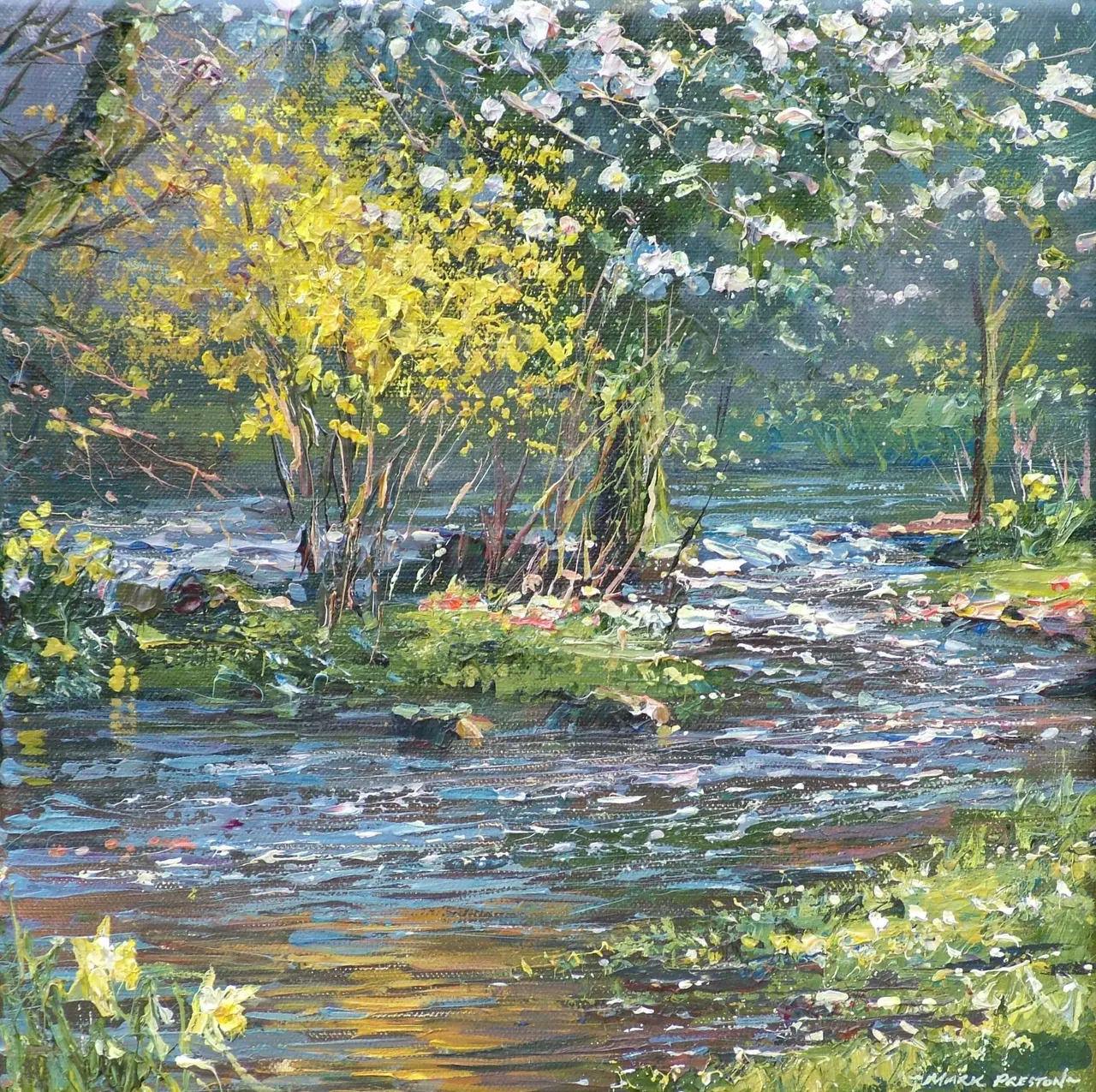 Mark Preston - spring light, river lathkill
