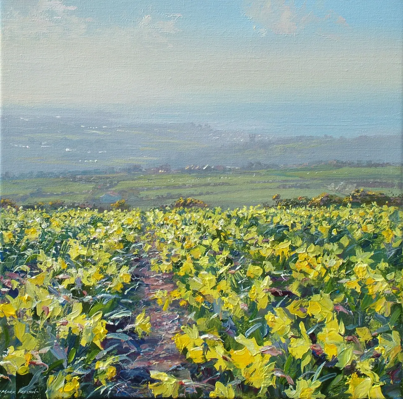 Mark Preston - spring morning, above ludgvan