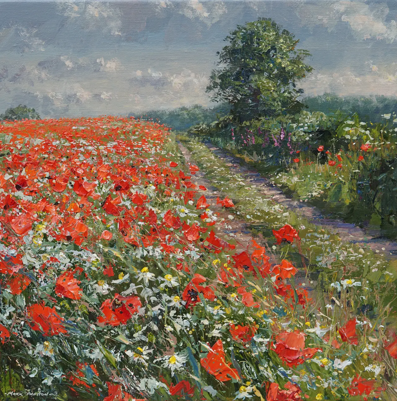 Mark Preston - poppies, mayweed and foxgloves, ednaston