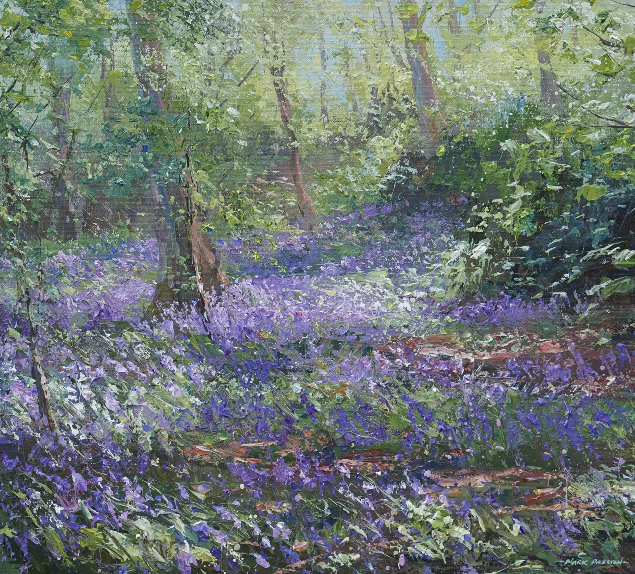 Mark Preston - spring morning, allestree woods