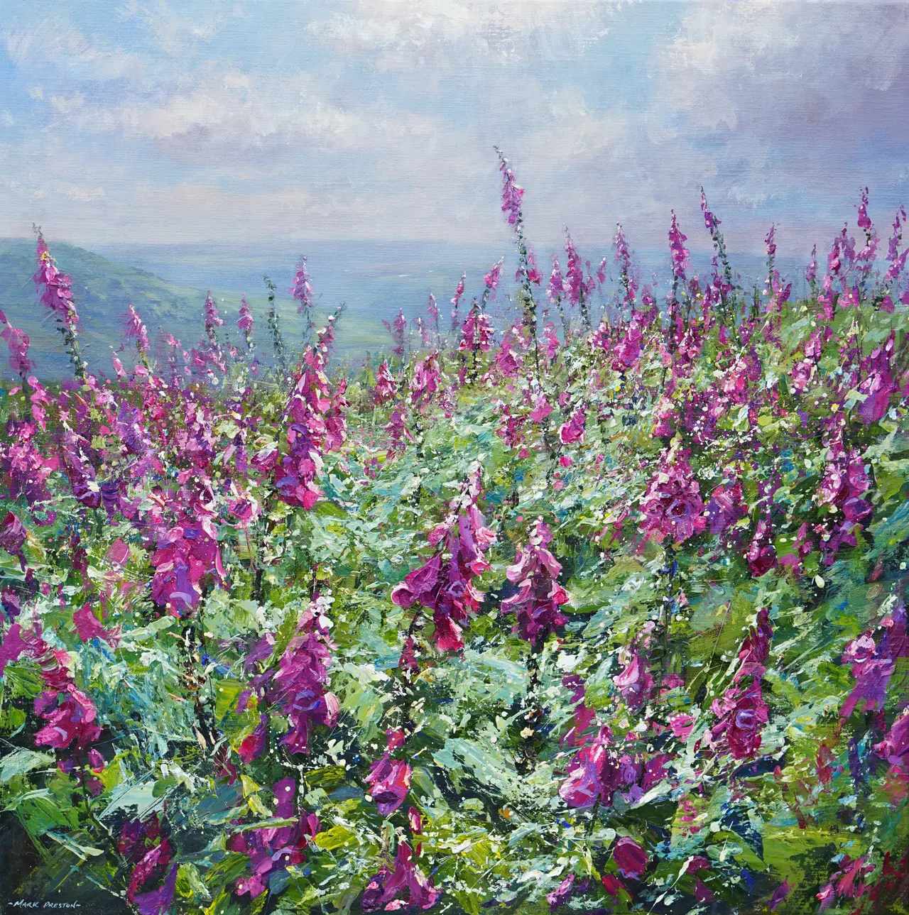 Mark Preston - sunlit foxgloves, bamford moor