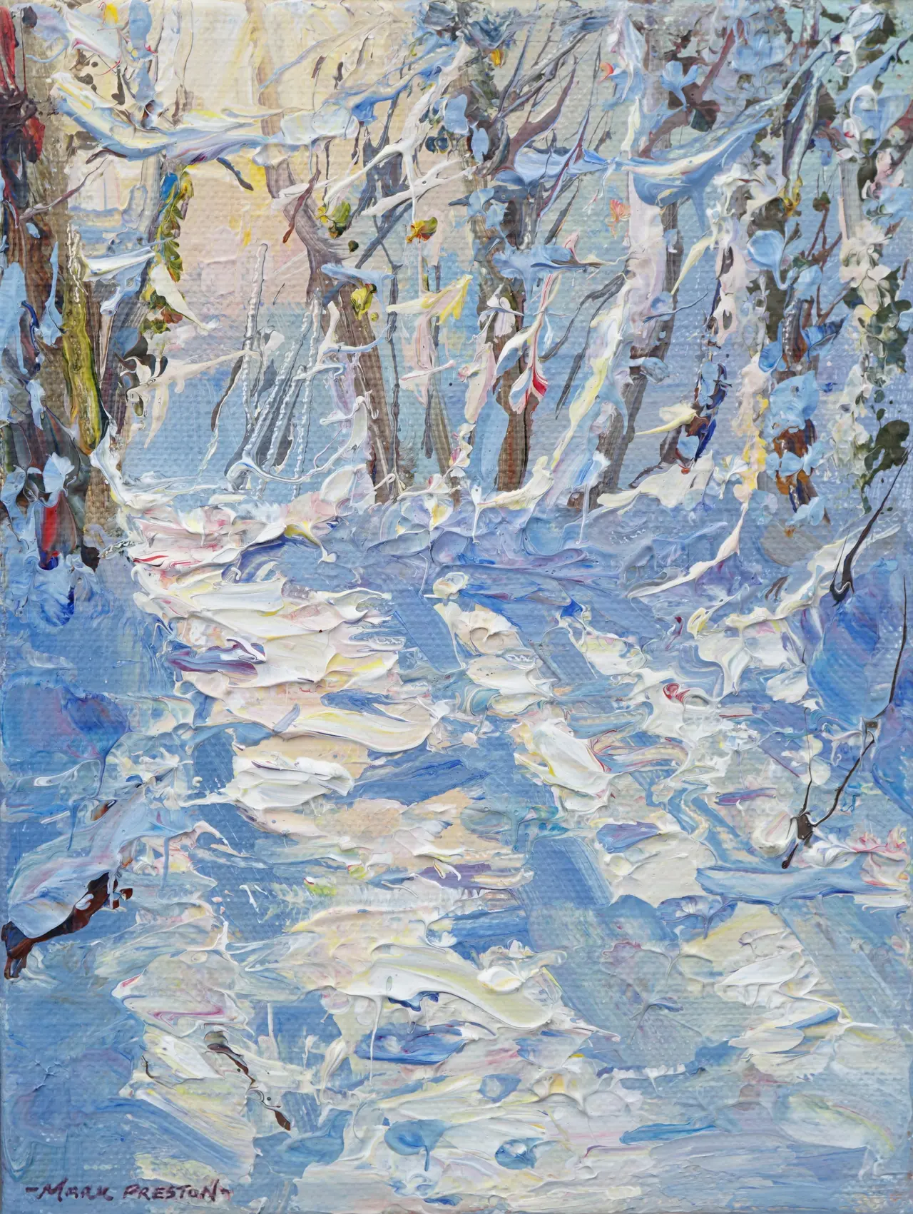 Mark Preston - snow shadows, markeaton