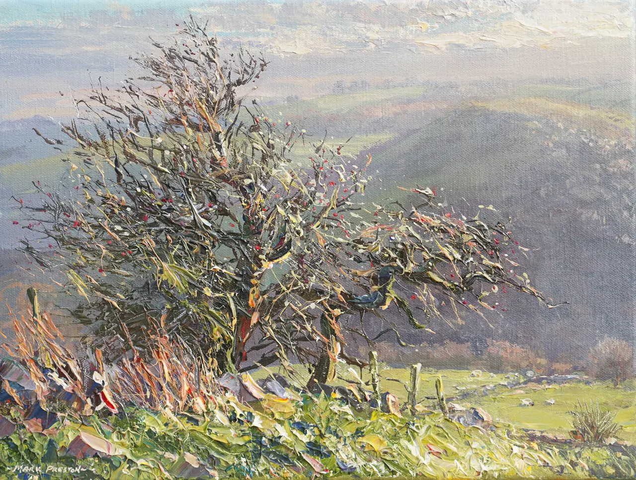 Mark Preston - winter hawthorn, wetton