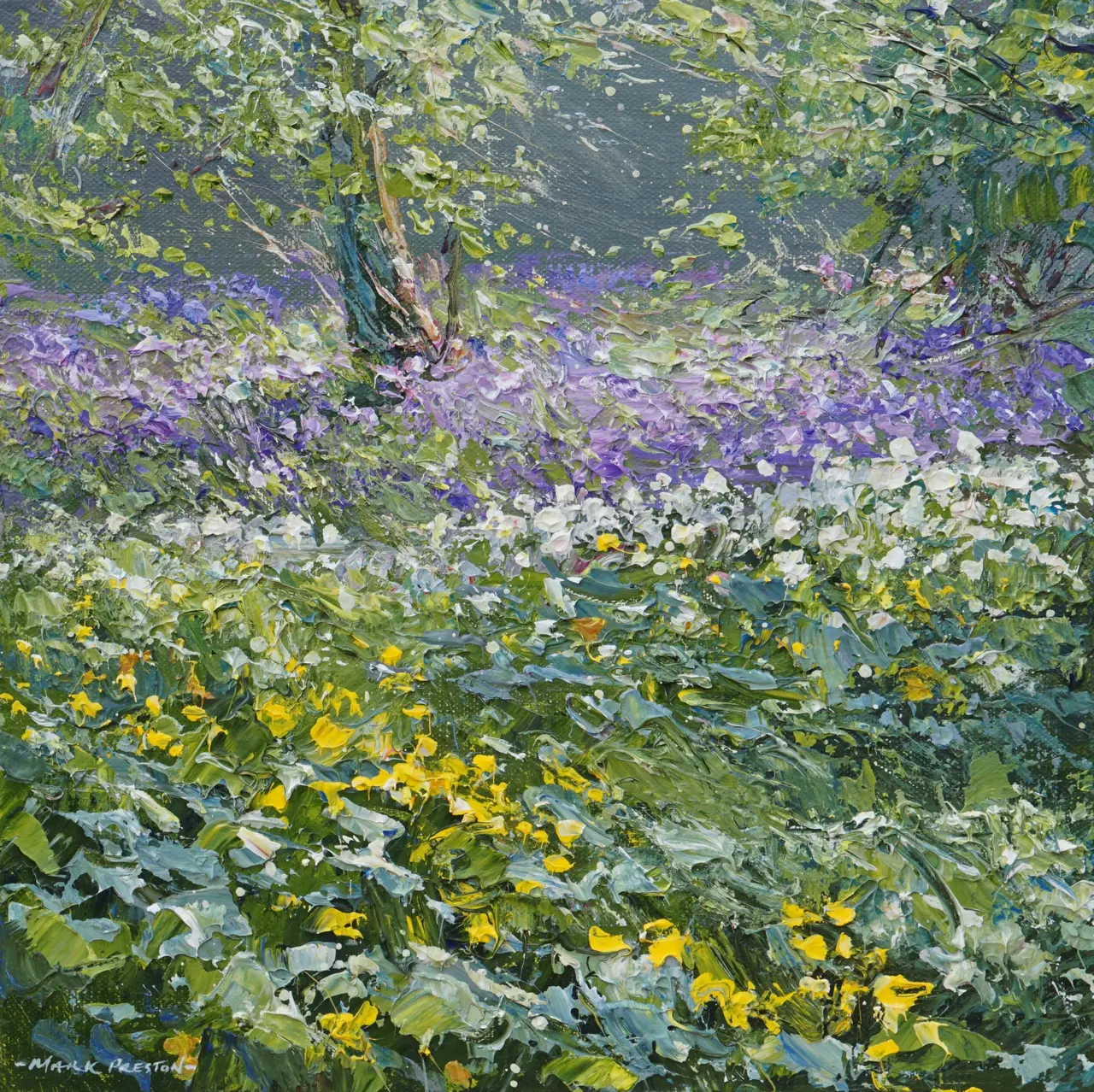 Mark Preston - spring flowers, clough wood