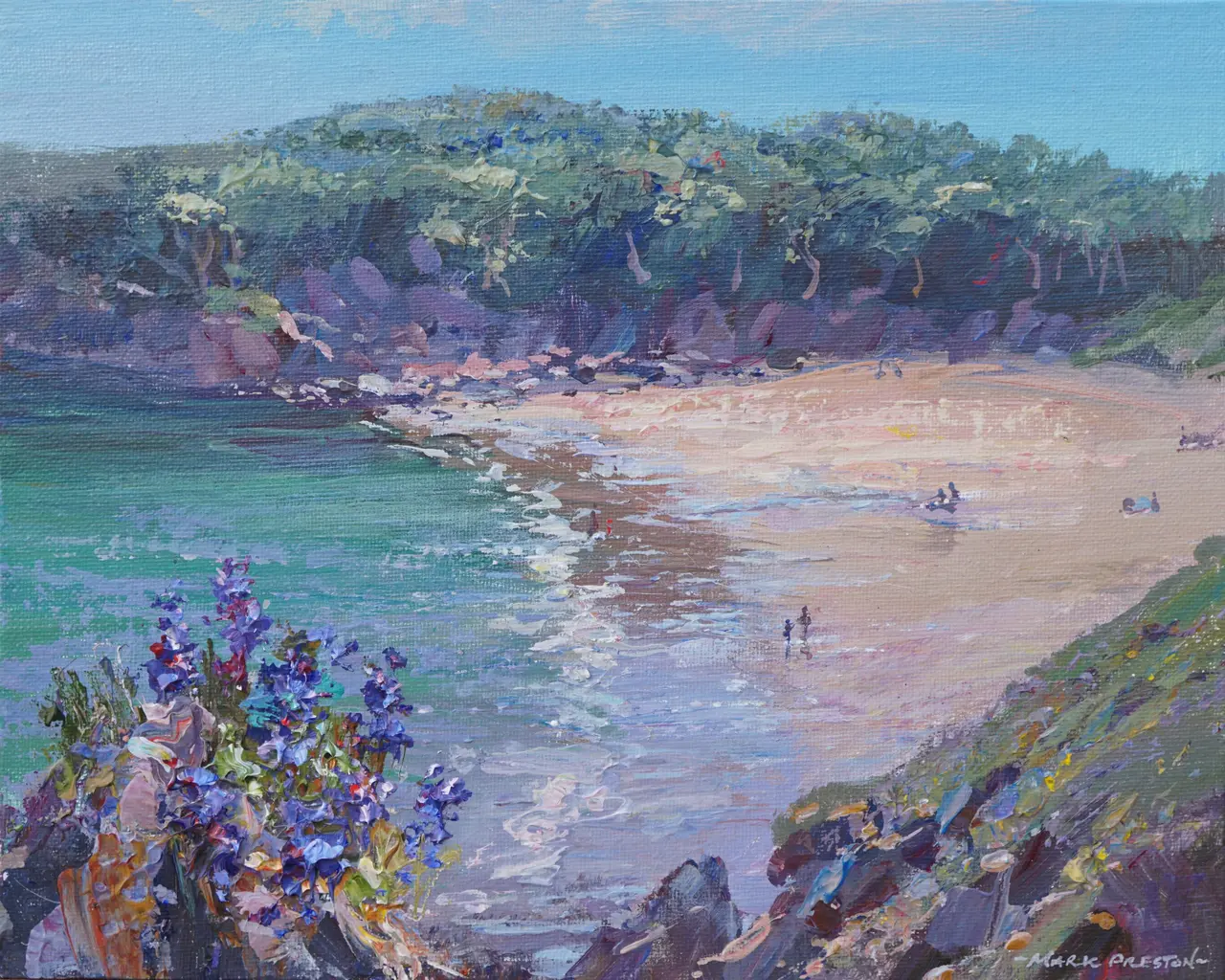 Mark Preston - vipers bugloss, barafundle bay