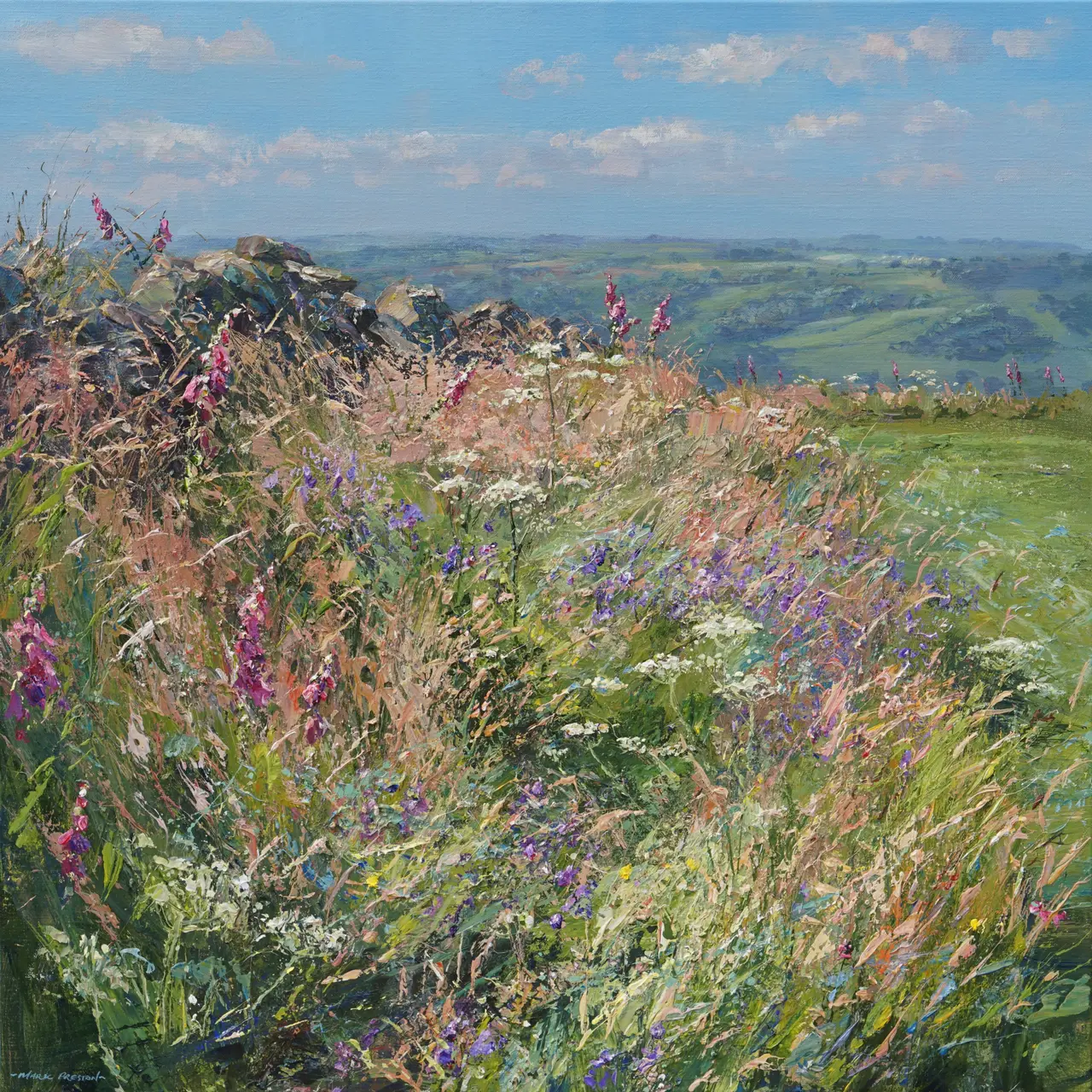 Mark Preston - summer field edge, ashleyhay