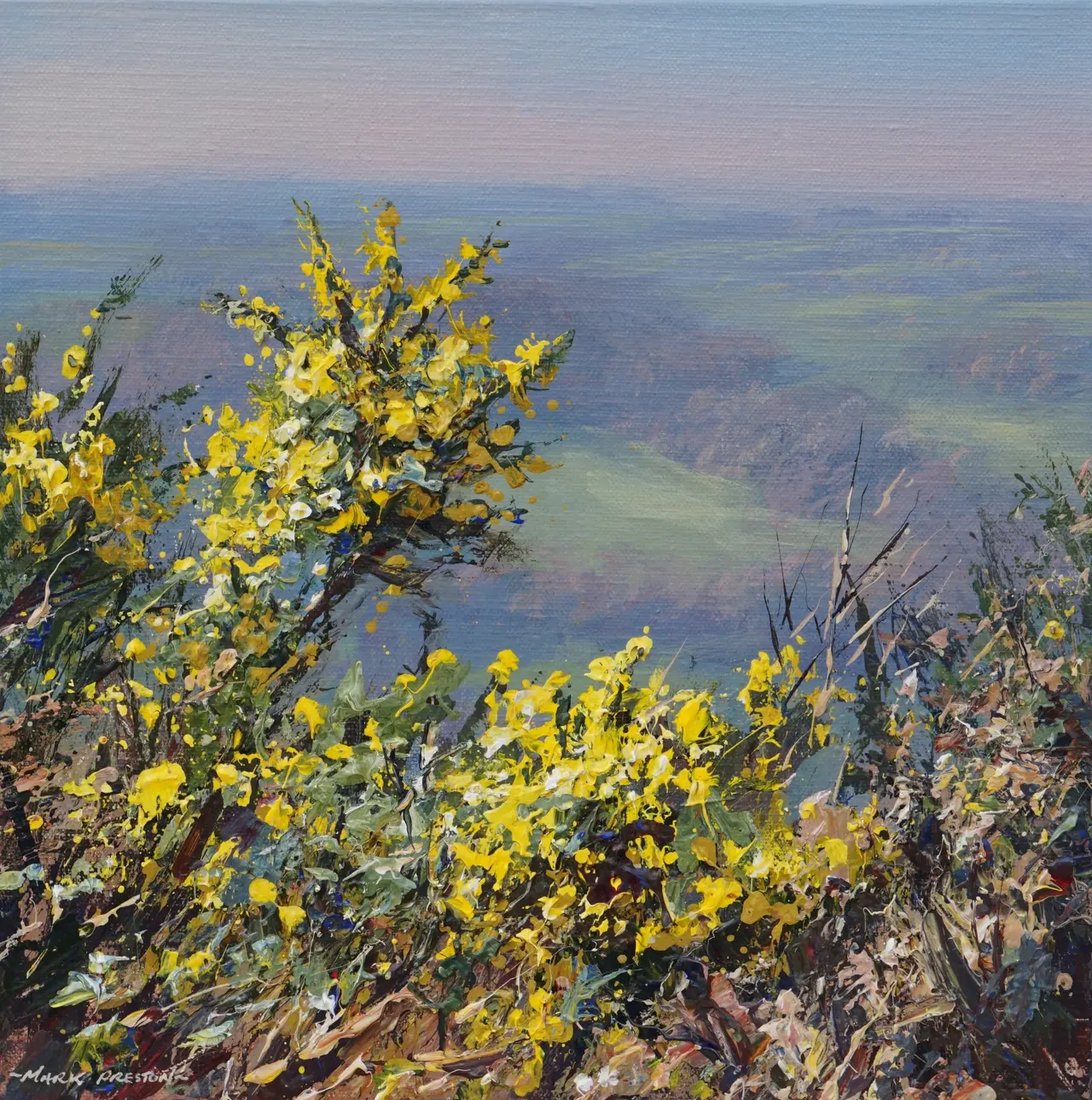 Mark Preston - sunlit gorse, ashleyhay
