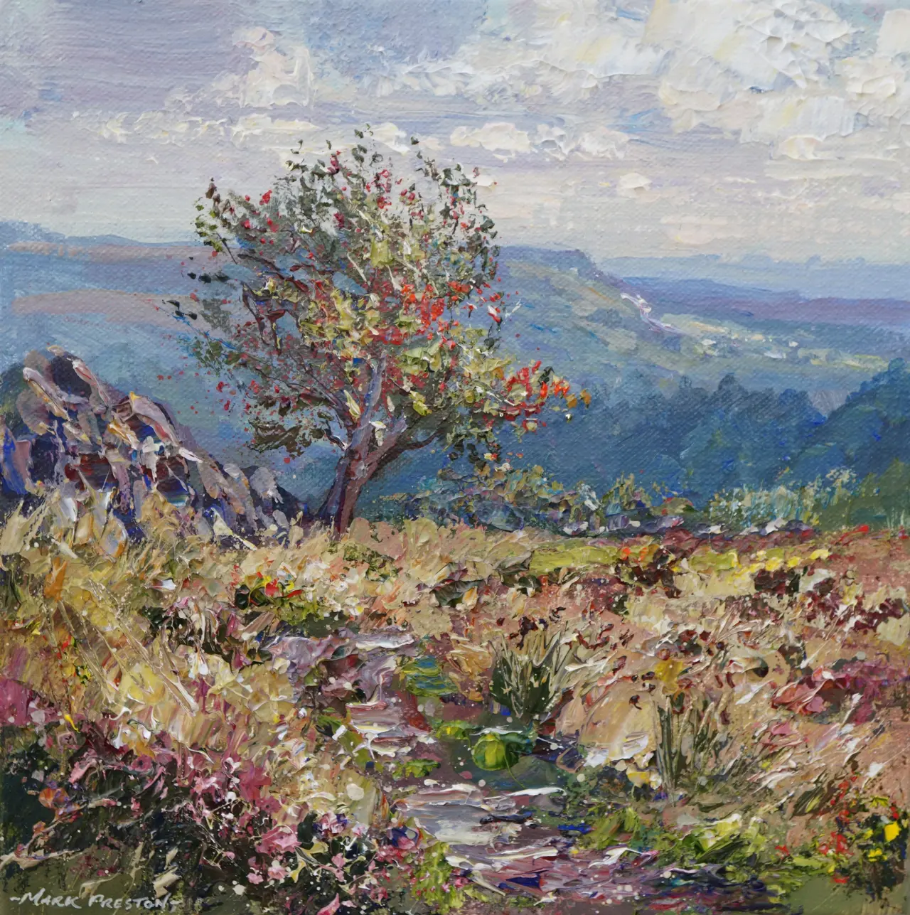 Mark Preston - mountain ash, eyam moor