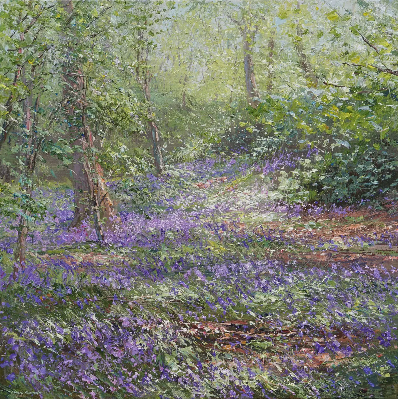 Mark Preston - sunlit bluebells, allestree wood
