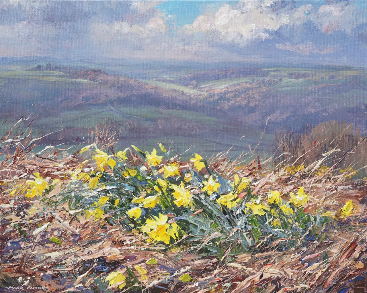 Mark Preston - daffodils, alport height
