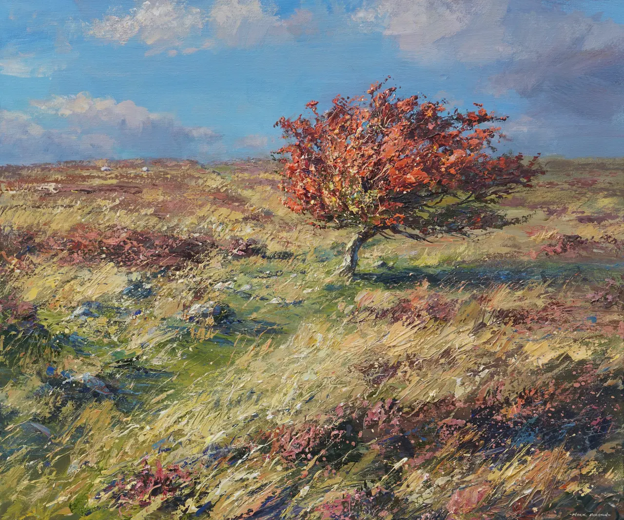Mark Preston - red hawthorn, longstone moor