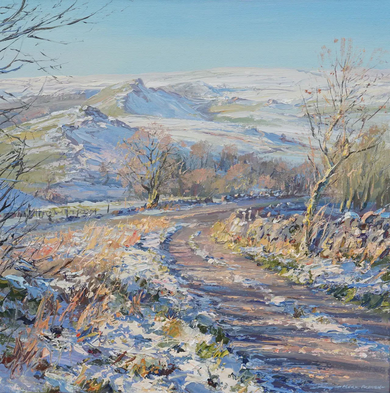 Mark Preston - clear winter's day, chrome hill