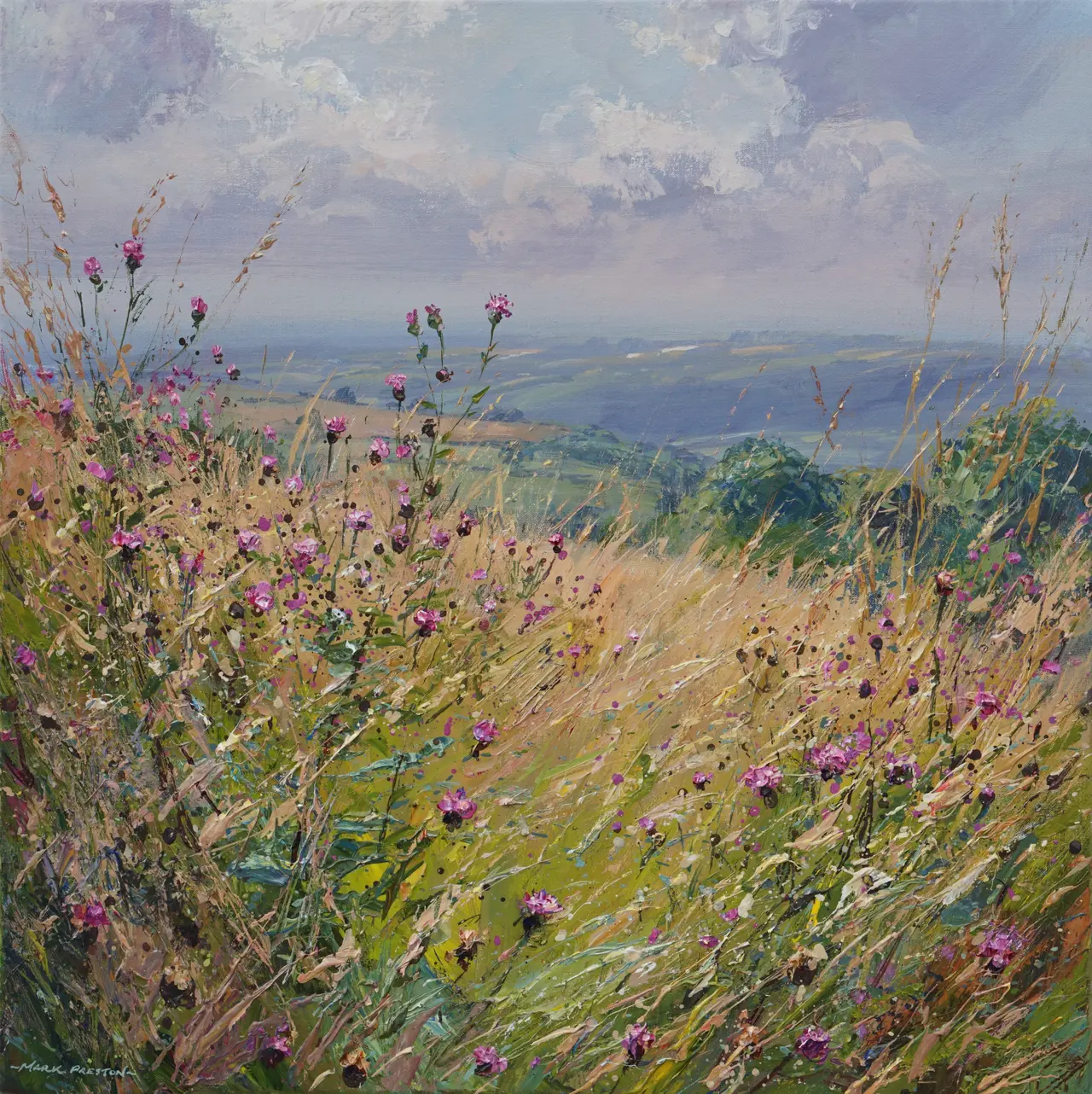 Mark Preston - summer meadow, ashleyhay