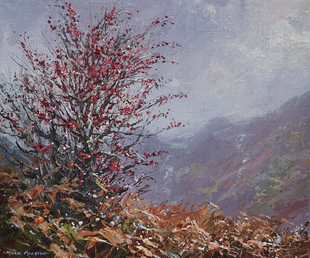 Mark Preston - sunlit hawthorn, rosthwaite
