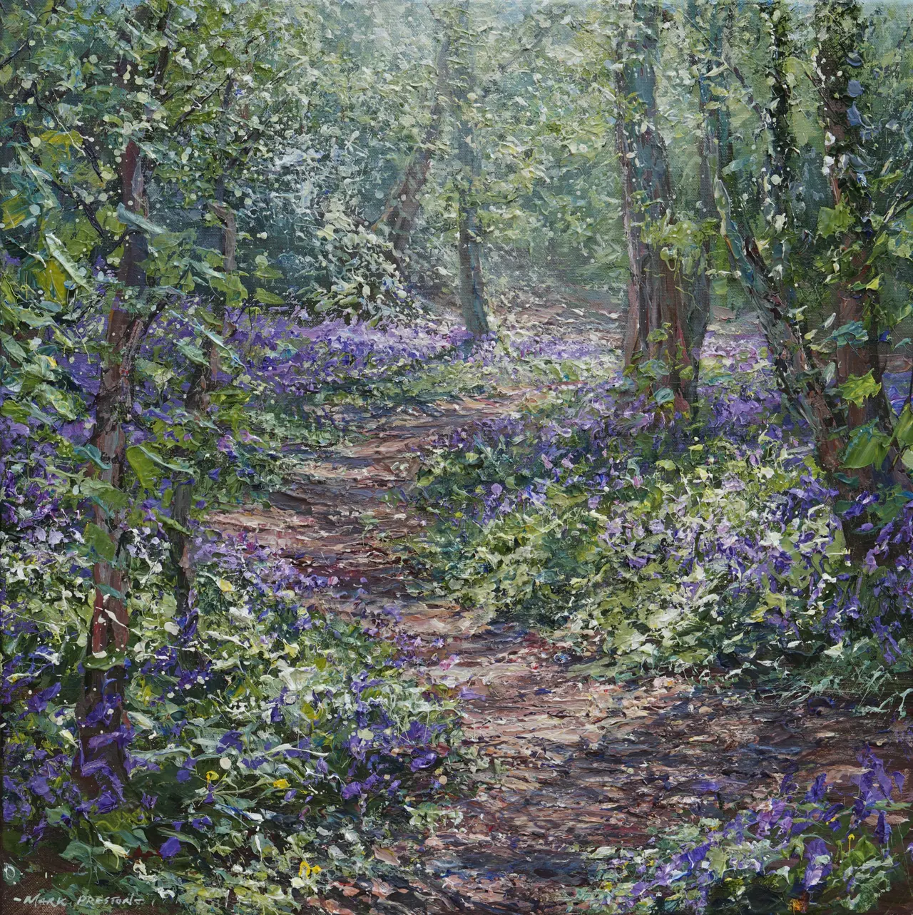 Mark Preston - sunlit bluebells, allestree wood