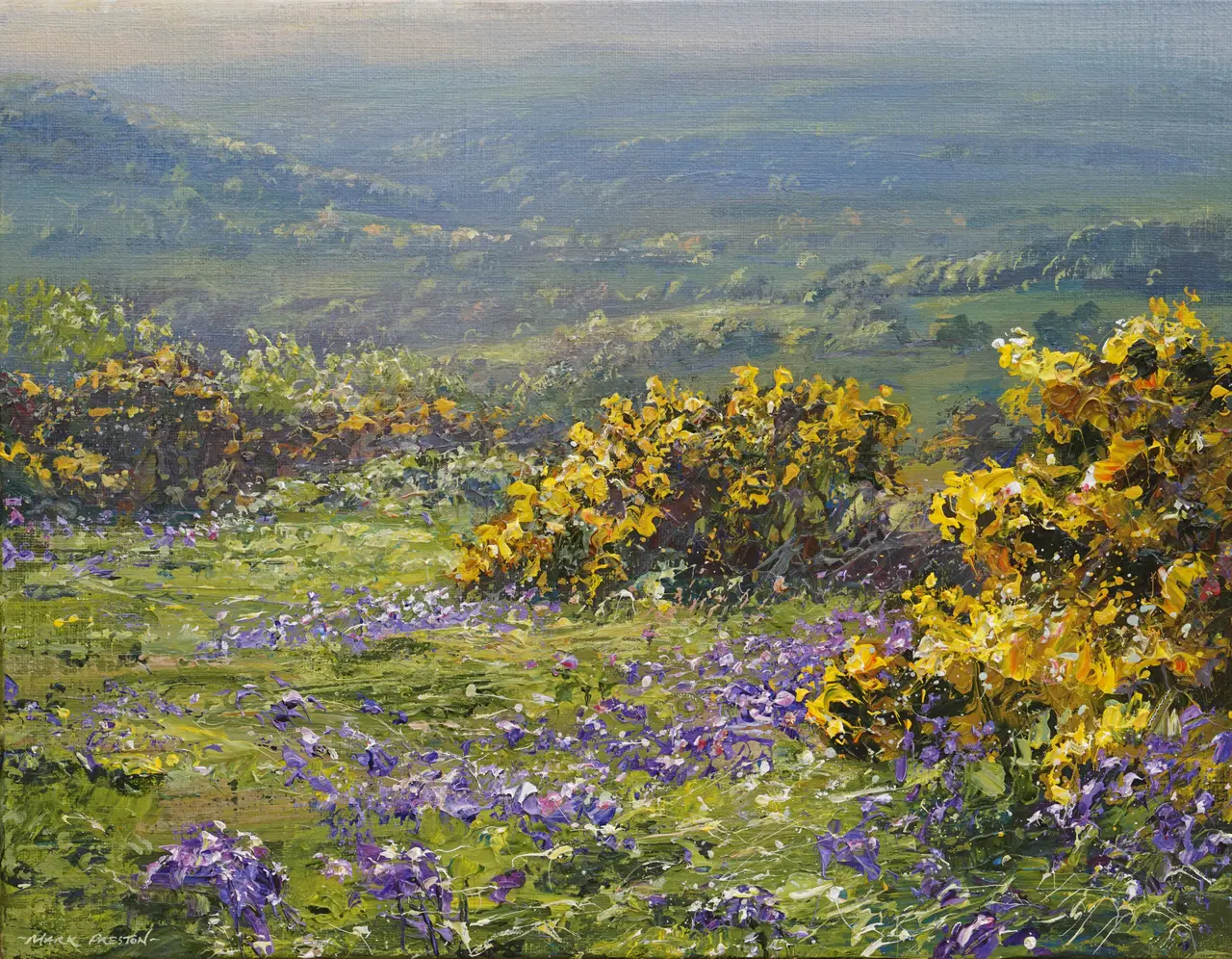 Mark Preston - bluebells and gorse, ashleyhay
