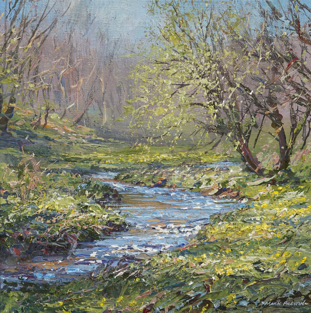 Mark Preston - spring sunlight, monk's dale