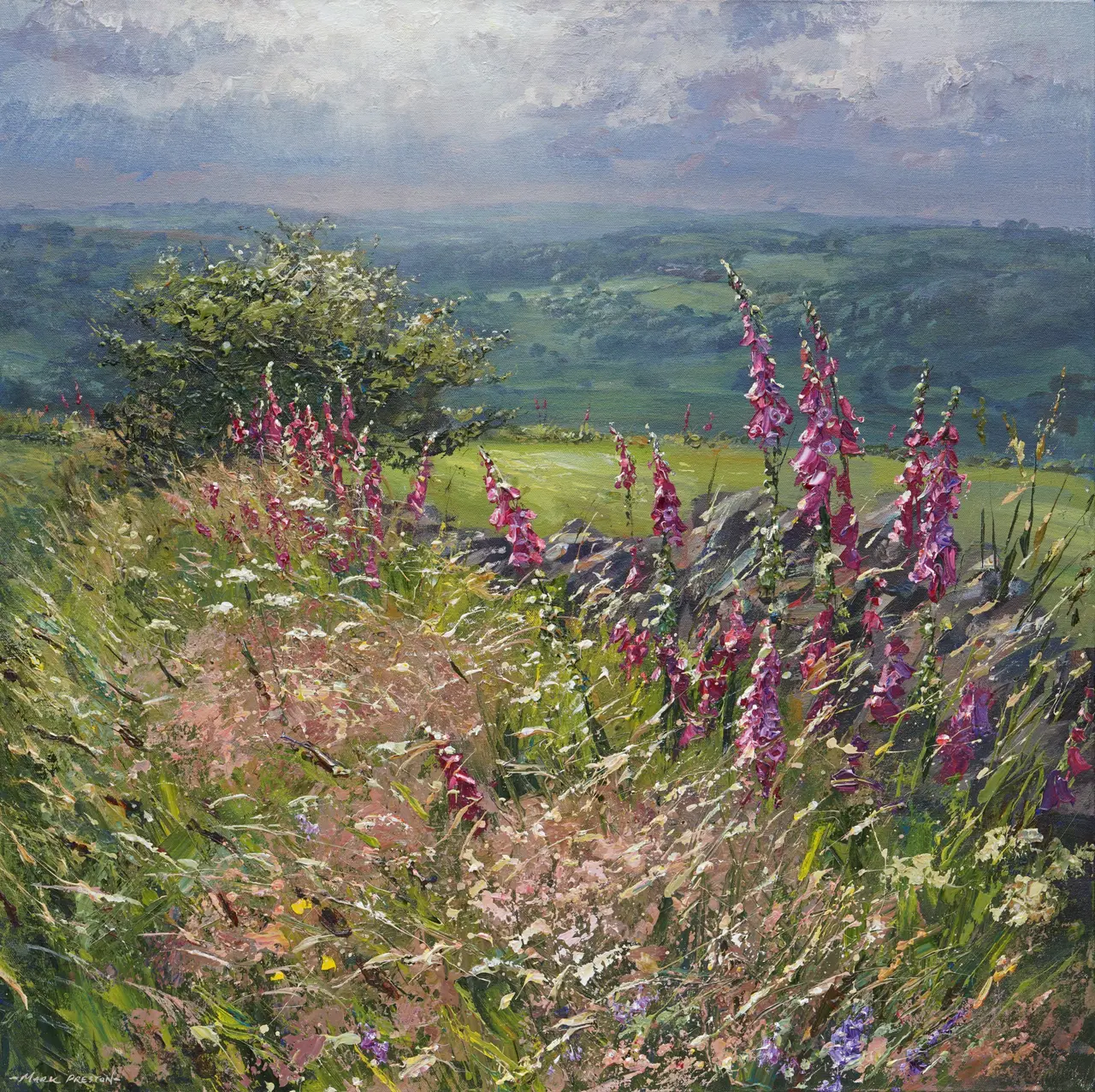 Mark Preston - derbyshire wall in summertime