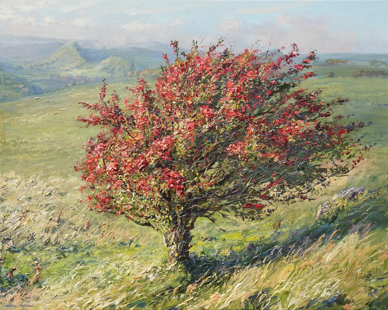 Mark Preston - red hawthorn, pilsbury