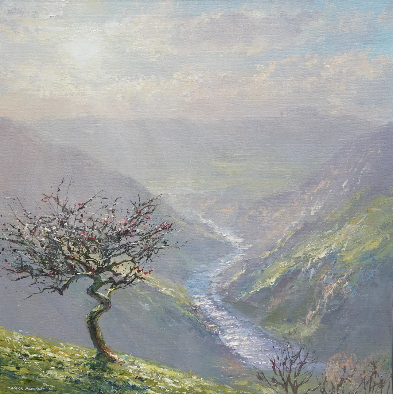 Mark Preston - november sunlight above dovedale