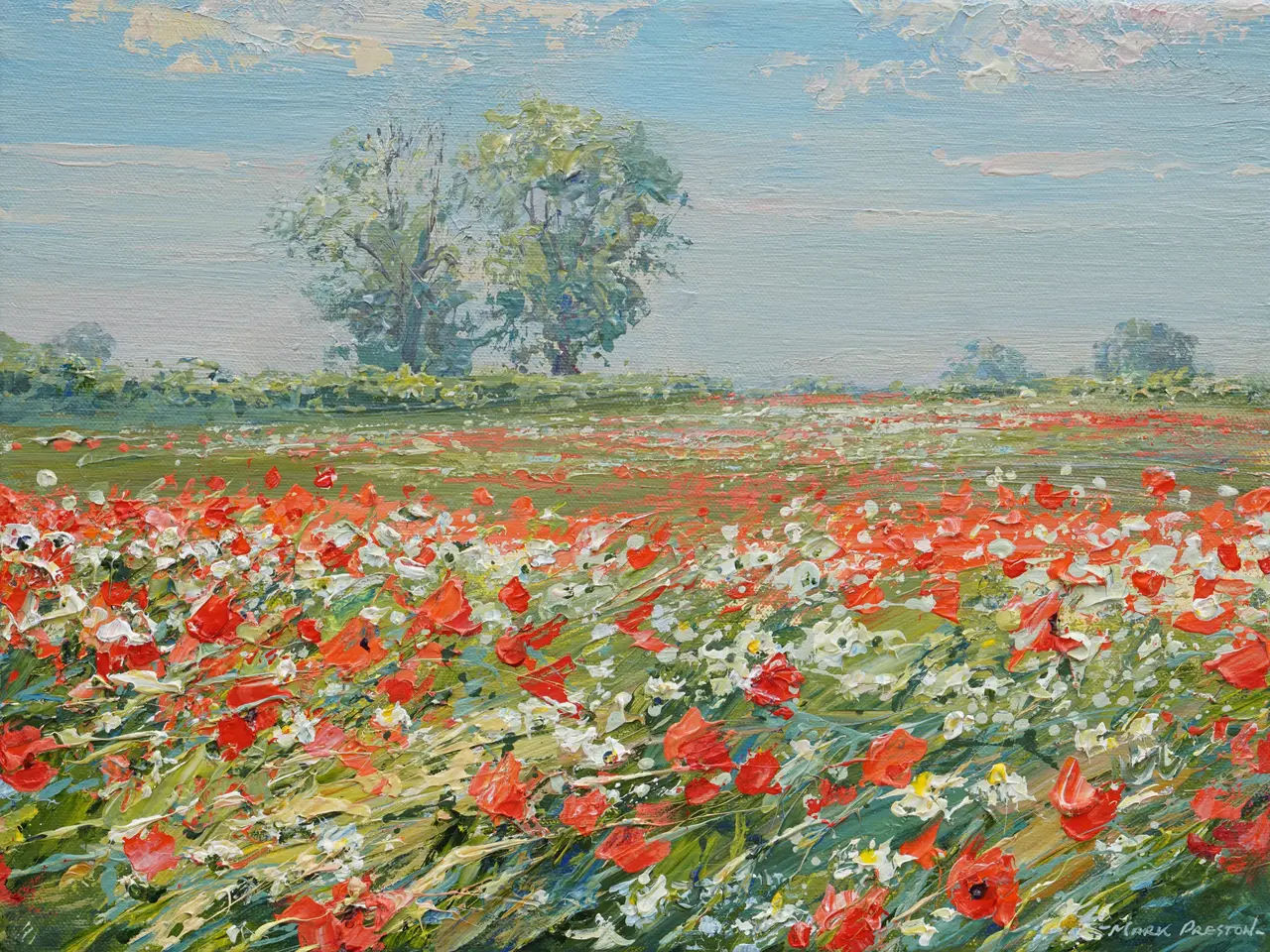 Mark Preston - poppy field, ednaston