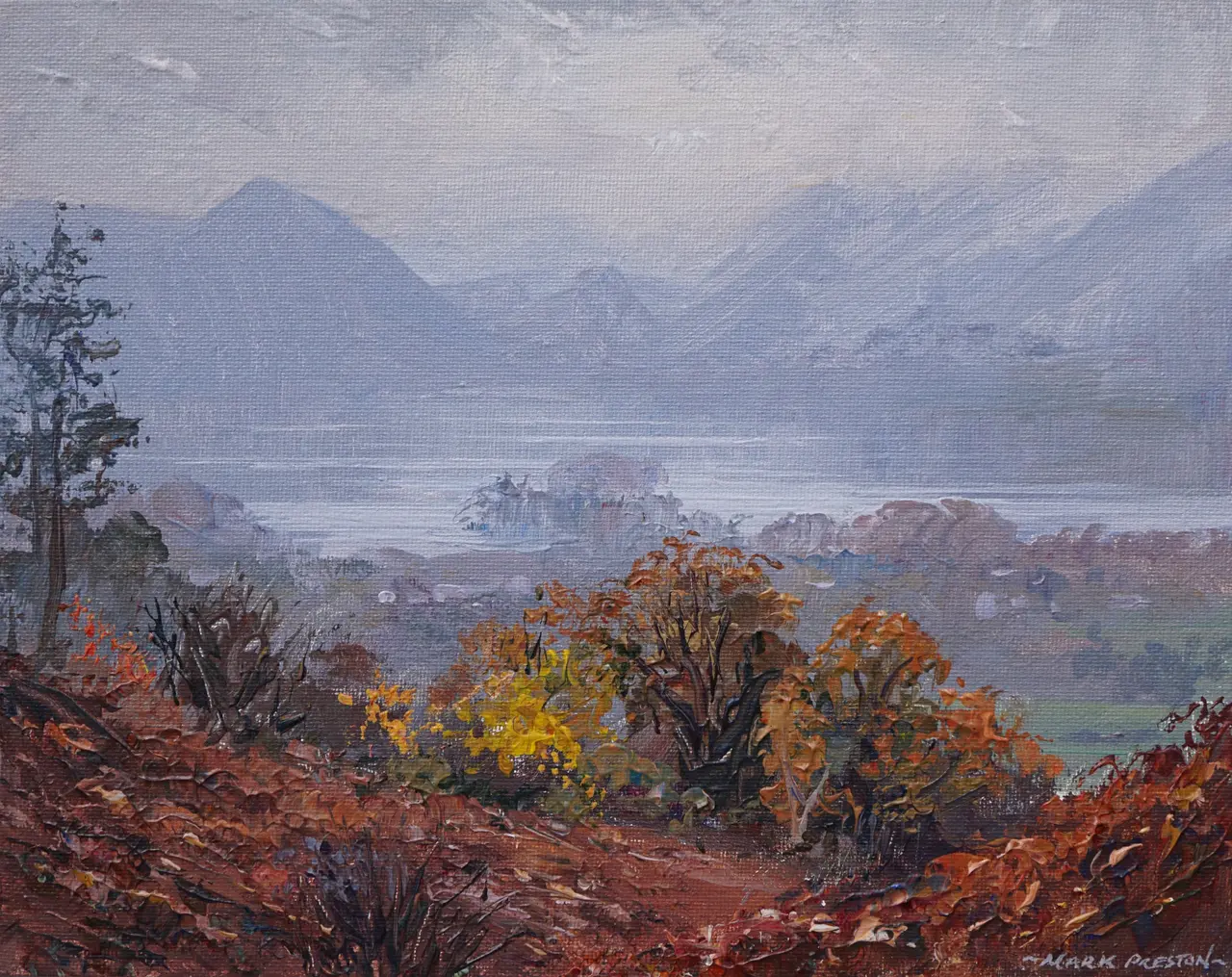 Mark Preston - derwent water from applethwaite
