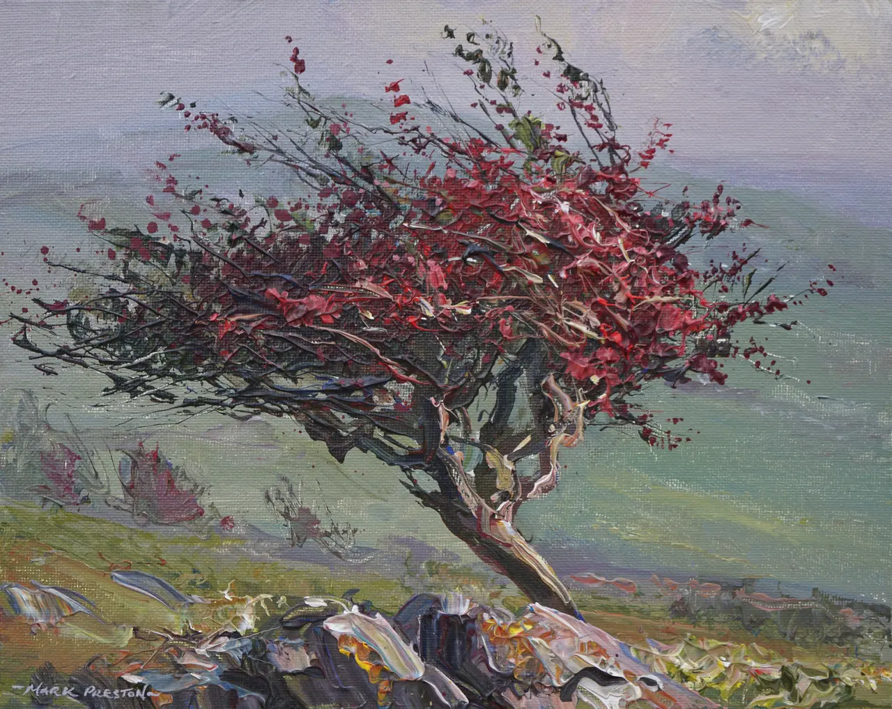 Mark Preston - red hawthorn, pilsbury