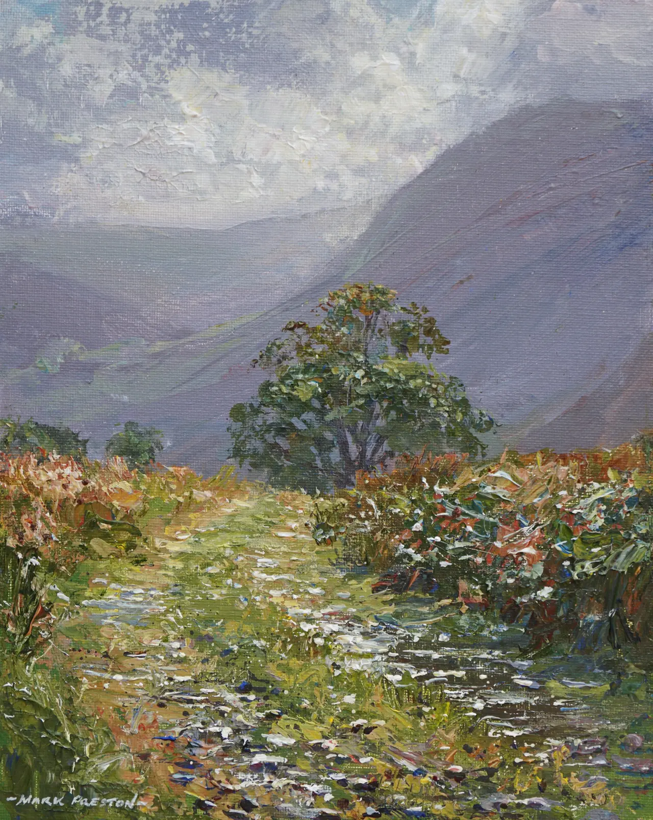 Mark Preston - sunlit lane, lanthwaite