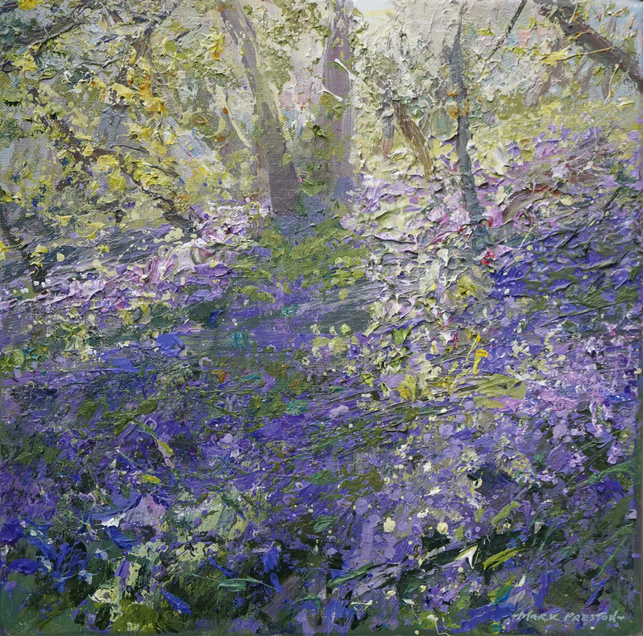 Mark Preston - spring evening, clough wood