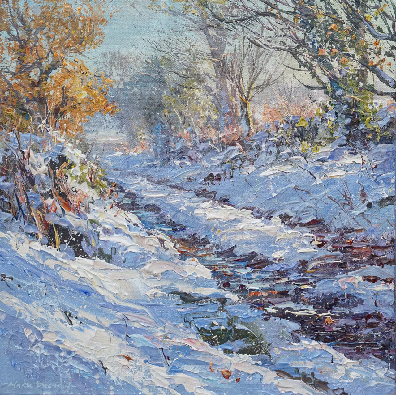 Mark Preston - november snow, brailsford