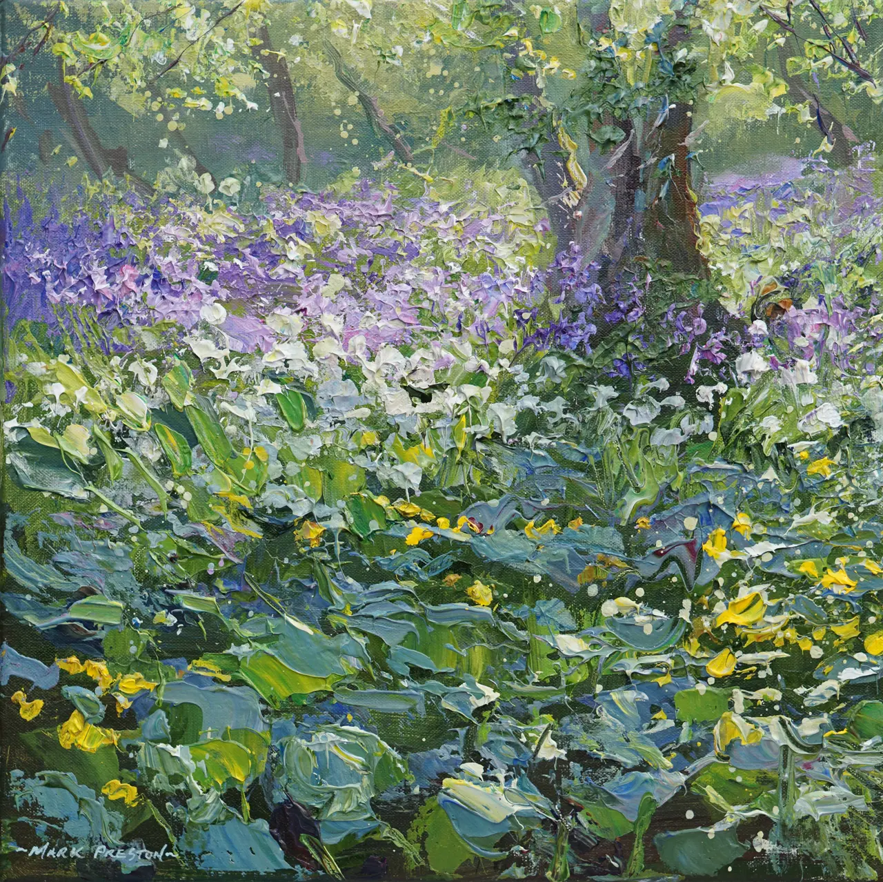 Mark Preston - spring flowers, clough wood