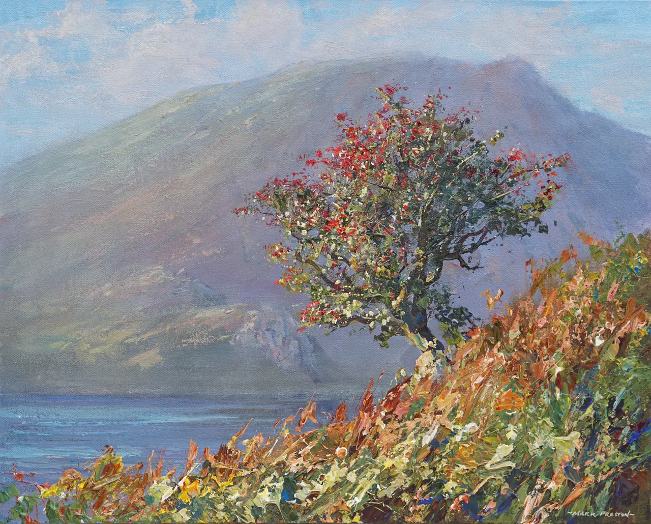 Mark Preston - red hawthorn against mellbreak