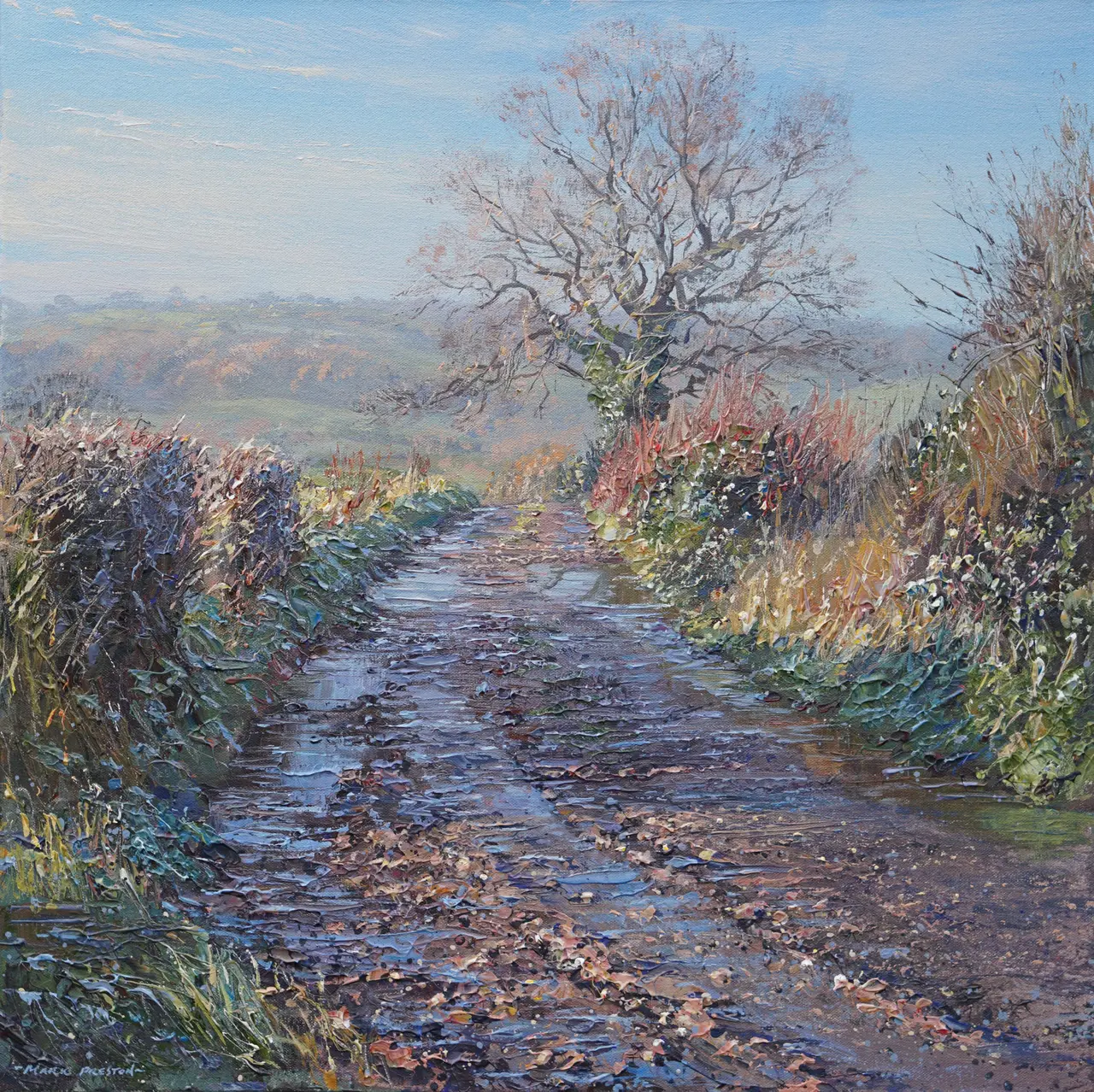 Mark Preston - clear winter's day, rookery farm lane