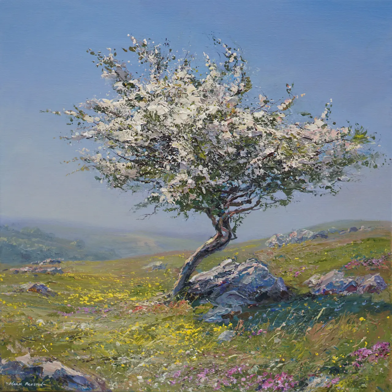 Mark Preston - mayblossom, buttercups and wild thyme, pilsbury