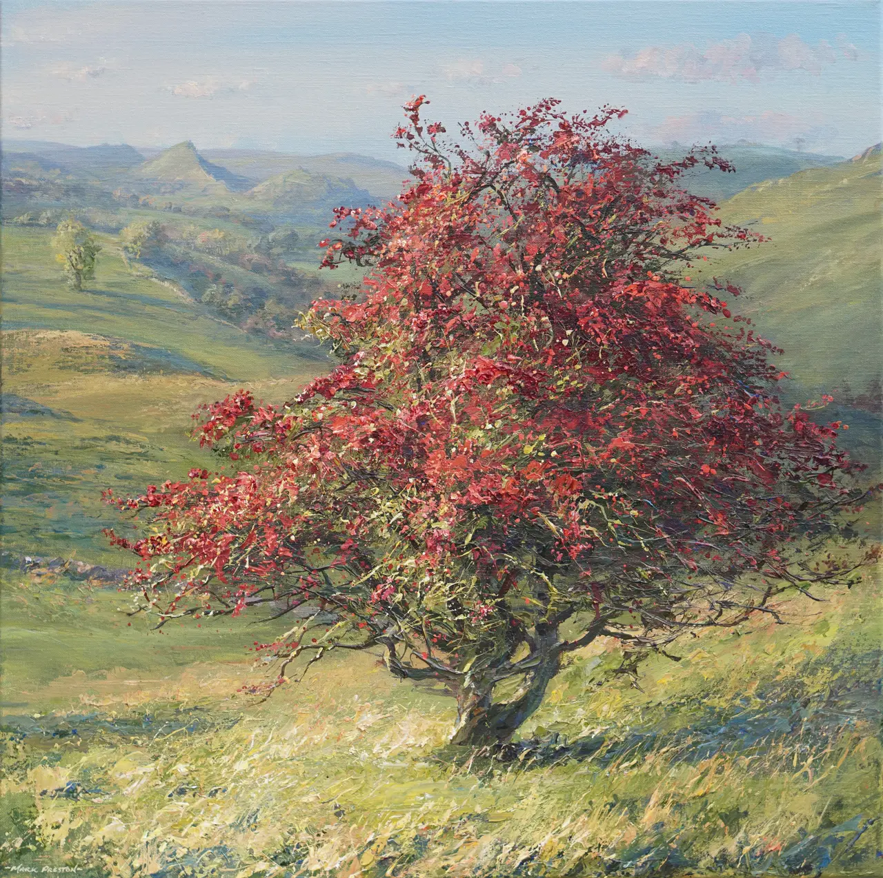 Mark Preston - autumn hawthorn, pilsbury
