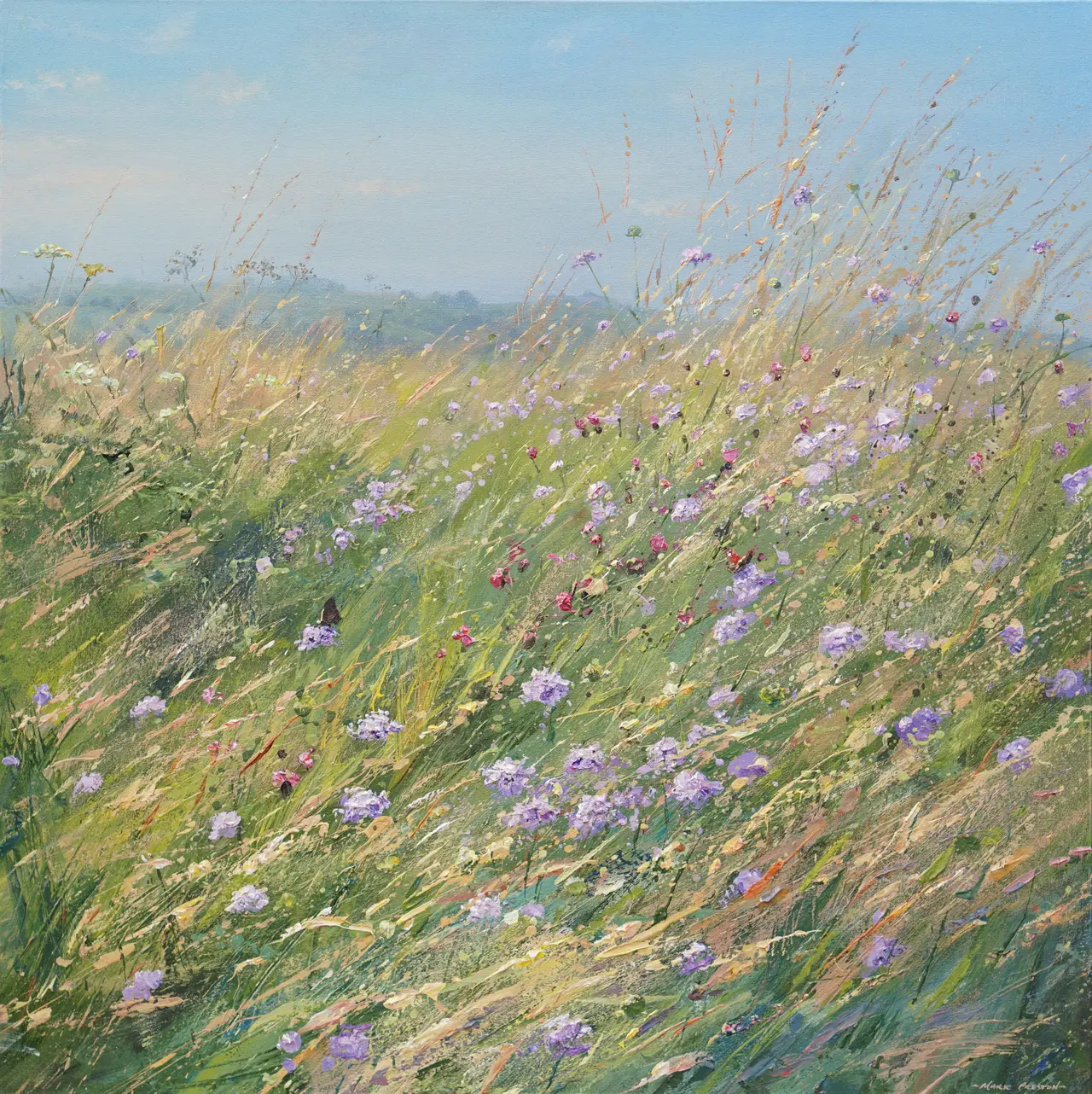 Mark Preston - meadow flowers and butterflies, bonsall moor
