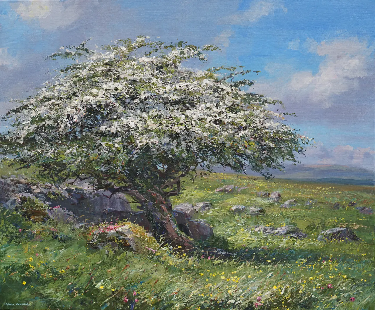 Mark Preston - mayblossom, high edge