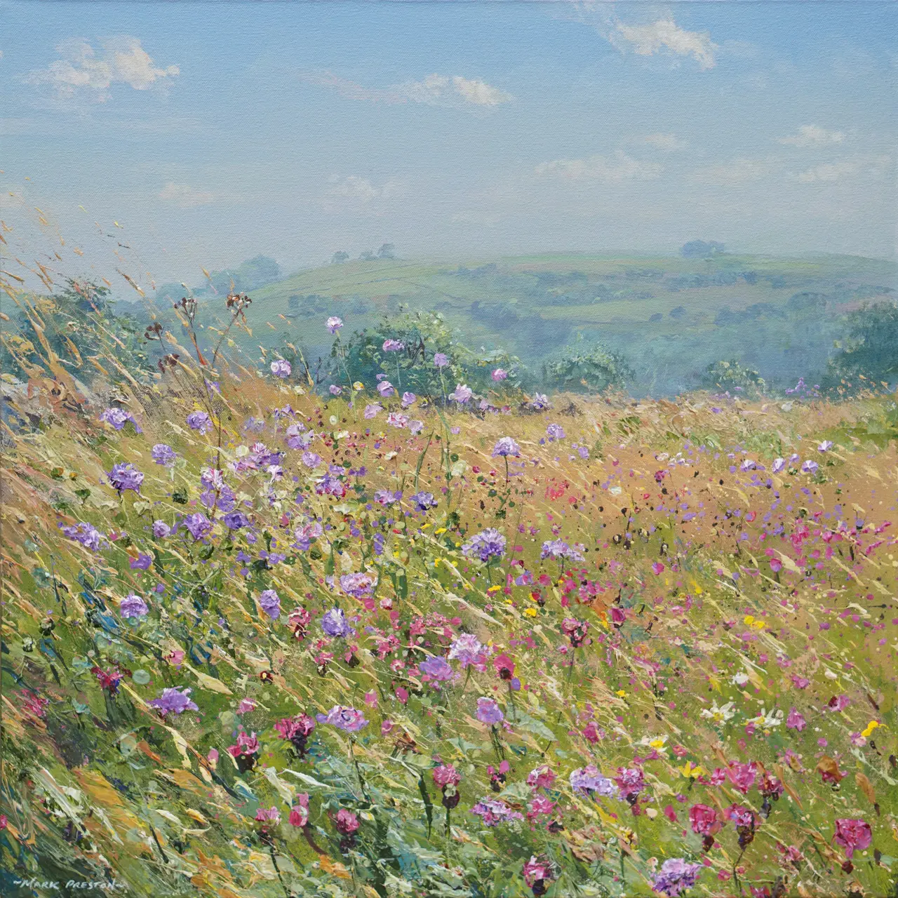 Mark Preston - meadow flowers, bonsall moor