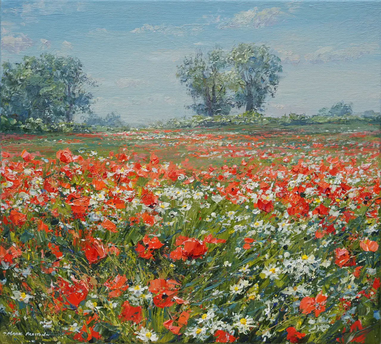 Mark Preston - blue skies and poppies, ednaston