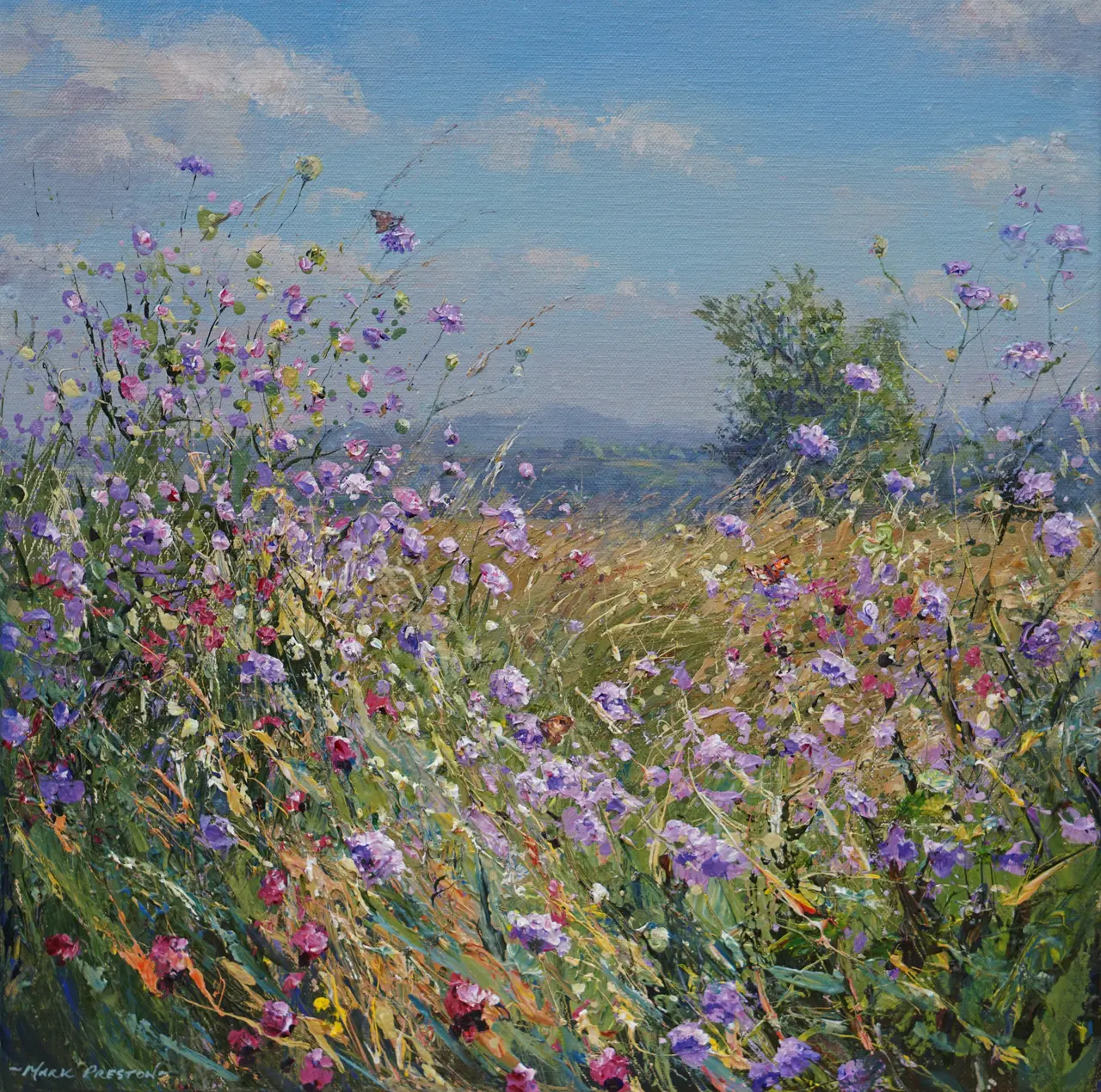 Mark Preston - butterflies and meadow flowers, bonsall moor