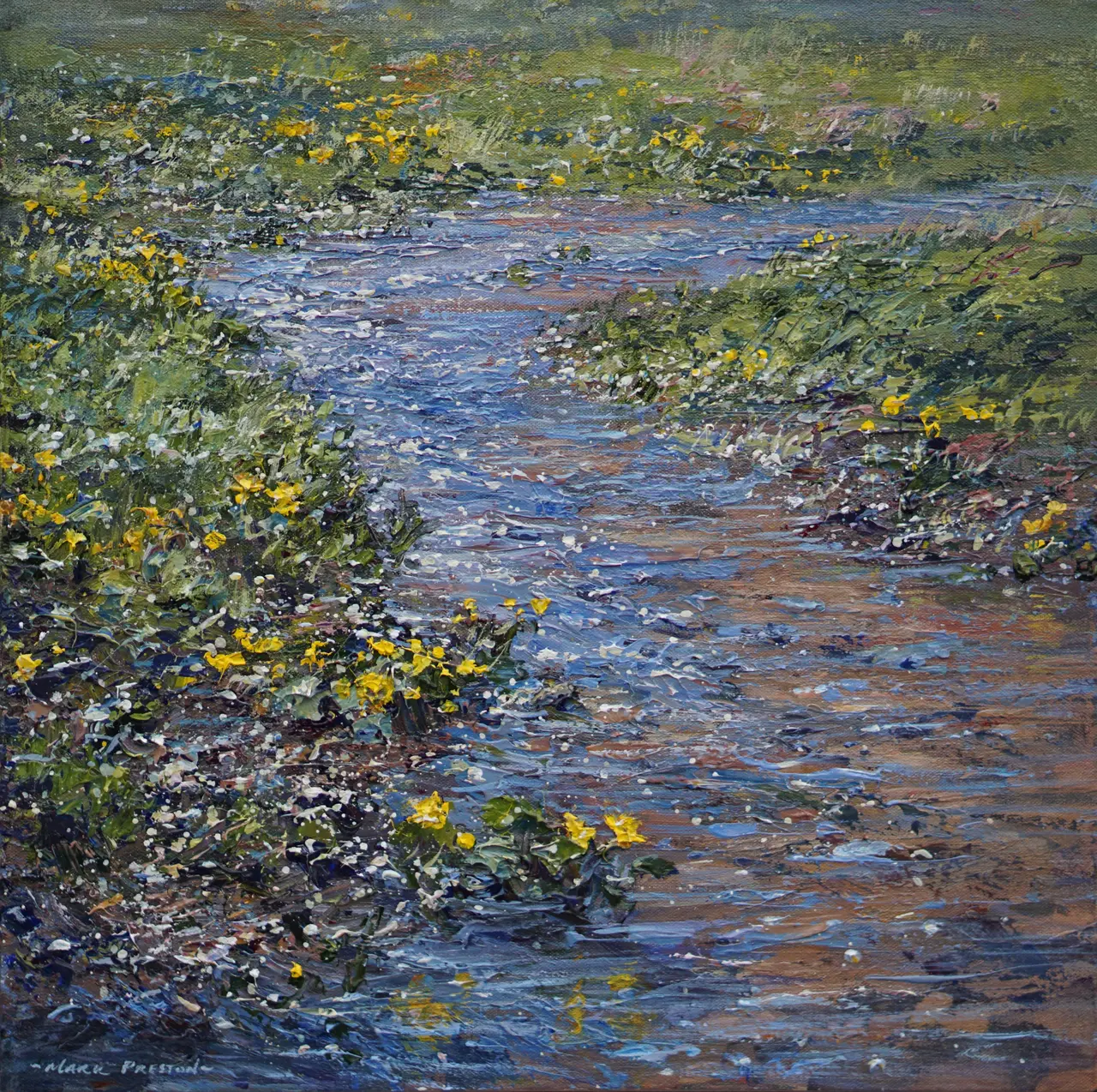 Mark Preston - clear water and marsh marigolds, monk's dale