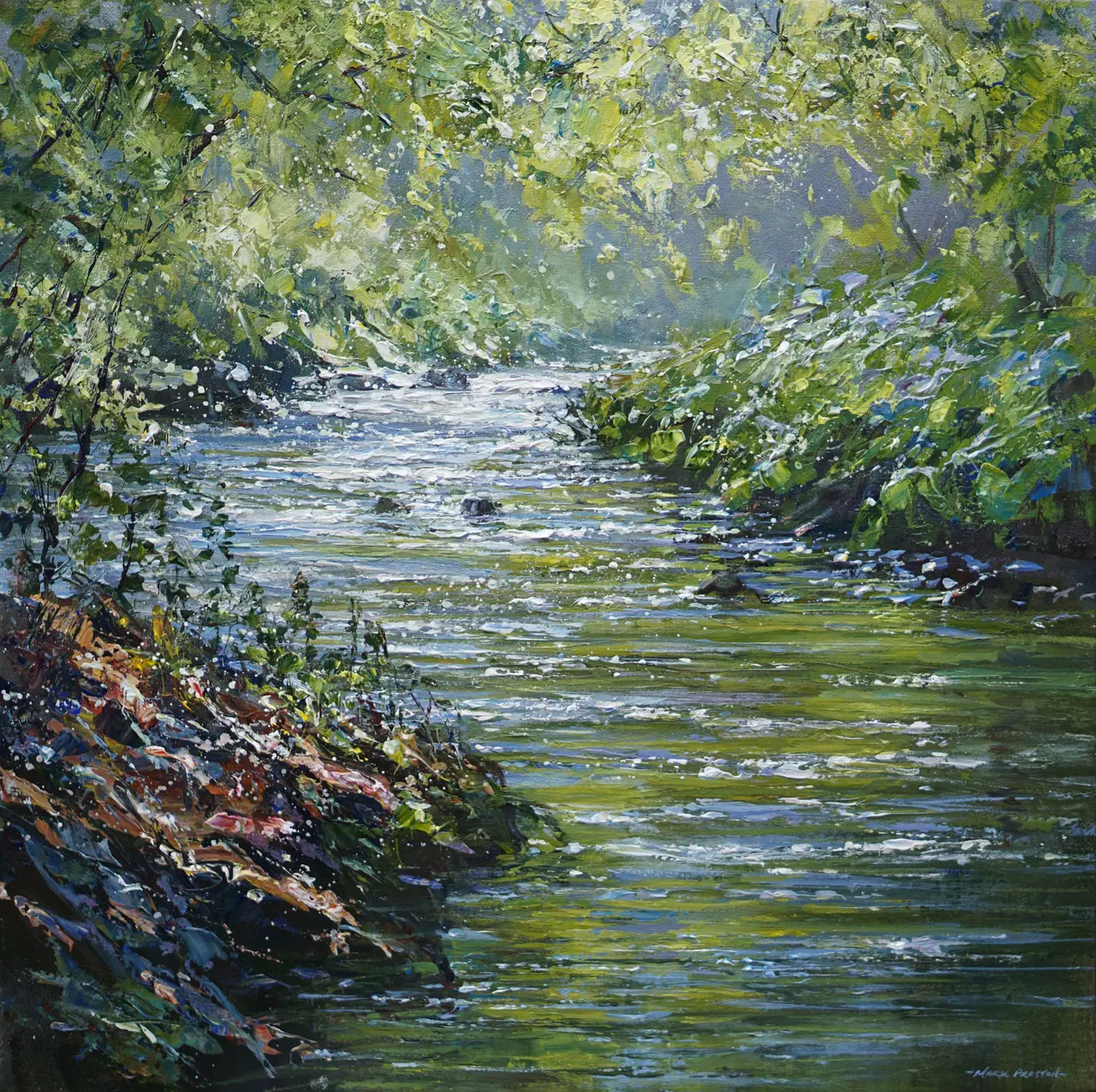 Mark Preston - sunlit water, wye dale