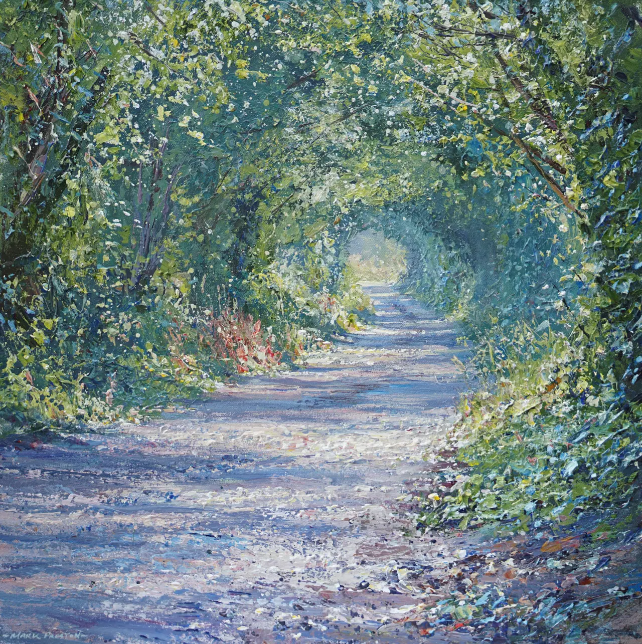 Mark Preston - summer tree tunnel, ashleyhay