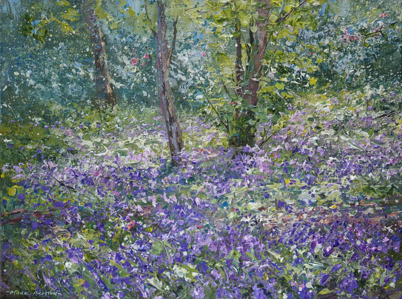 Mark Preston - spring woodland, allestree