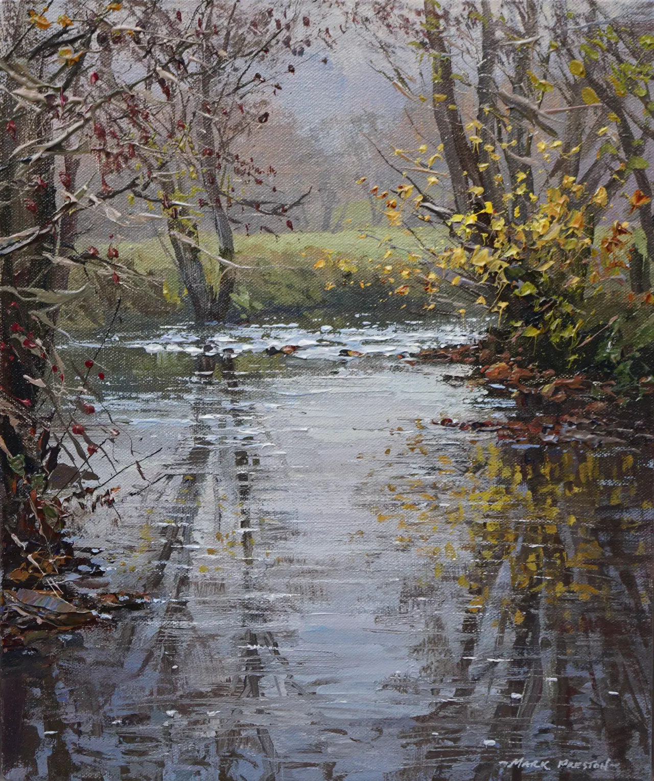 Mark Preston - tree reflections, river ecclesbourne