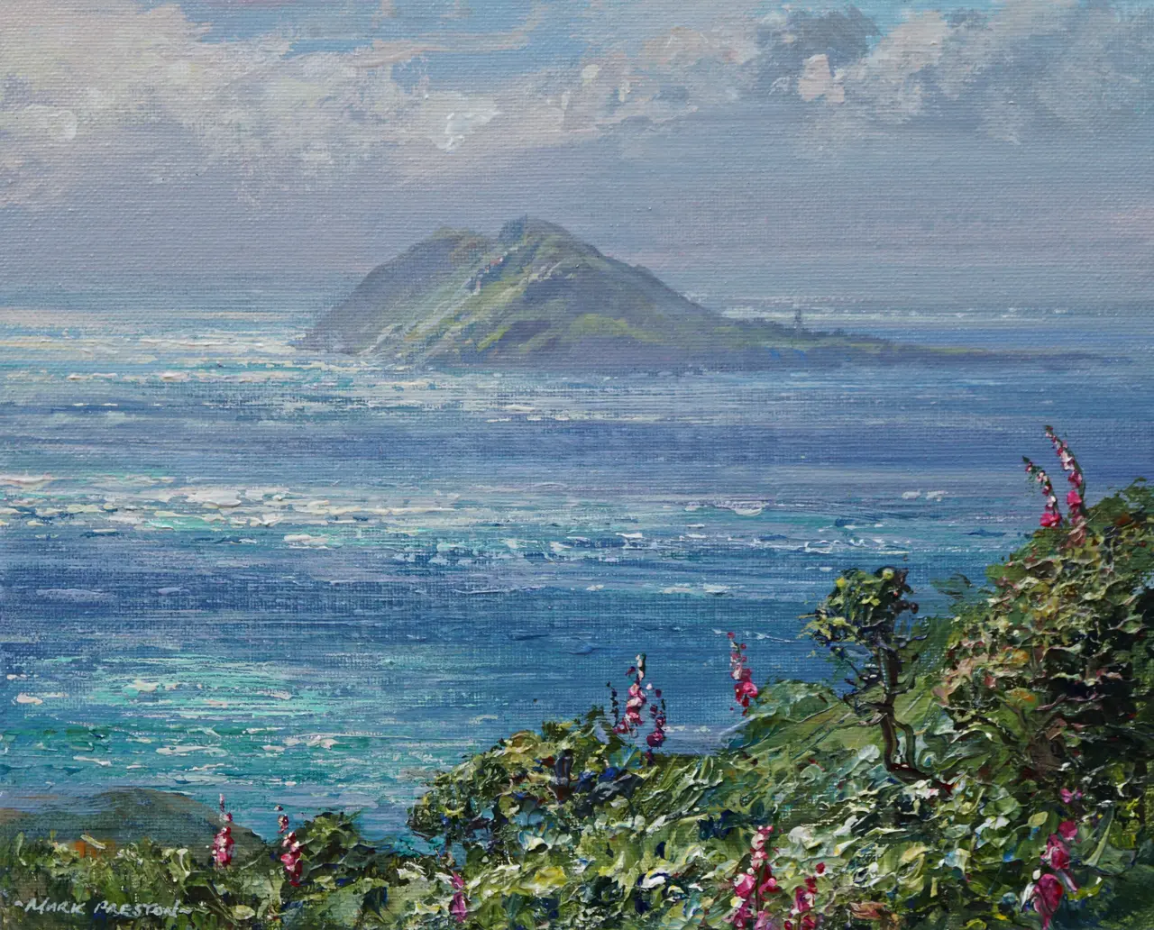 Mark Preston - bardsey island from myndd mawr