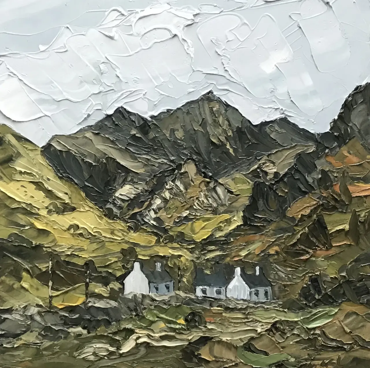 Martin Llewellyn - cottages drws-y-coed