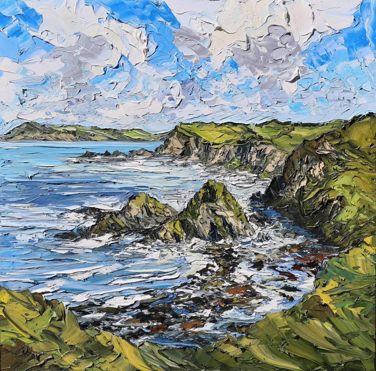 Martin Llewellyn - pembrokeshire coast