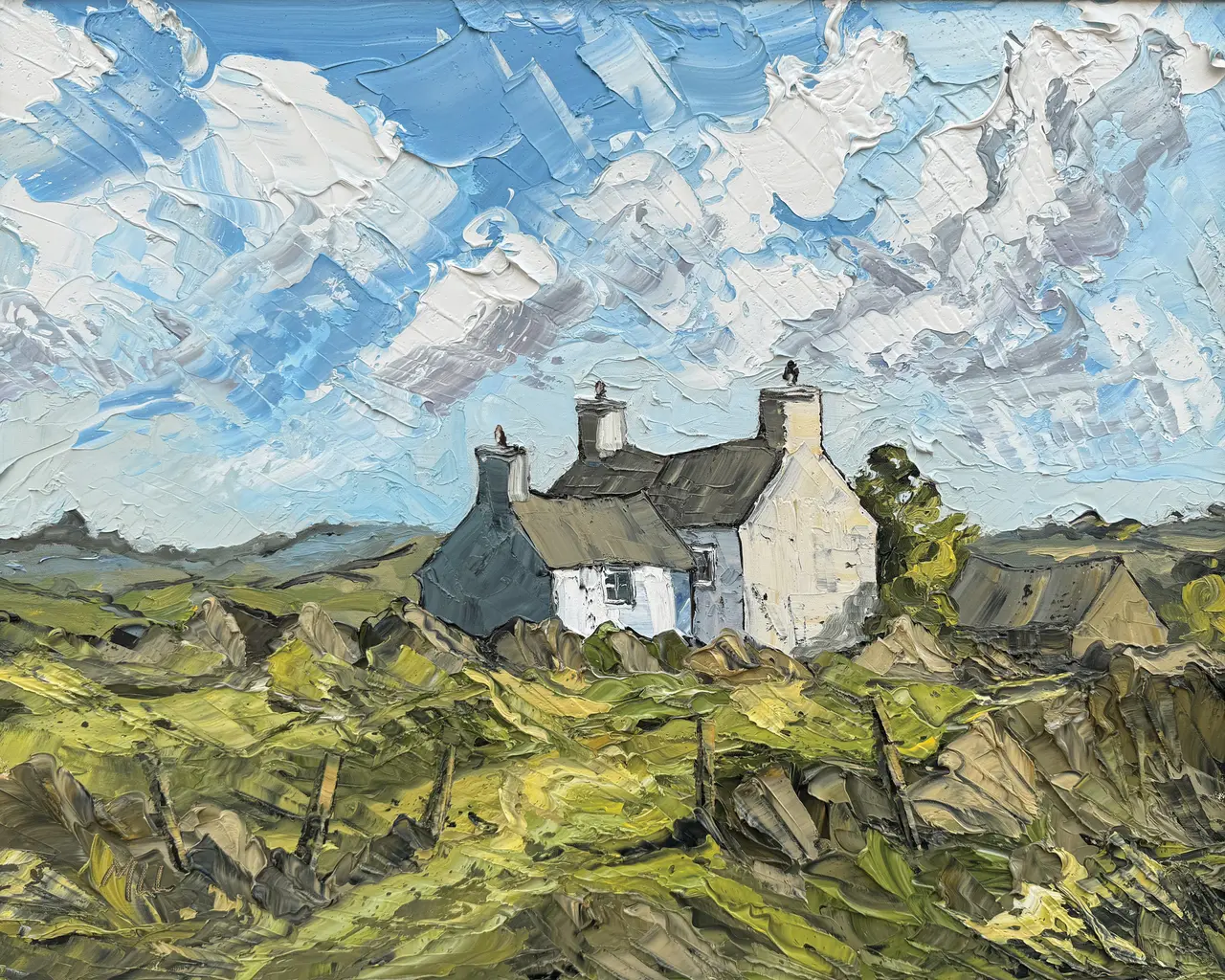 Martin Llewellyn - farm cottage nr the bwlch